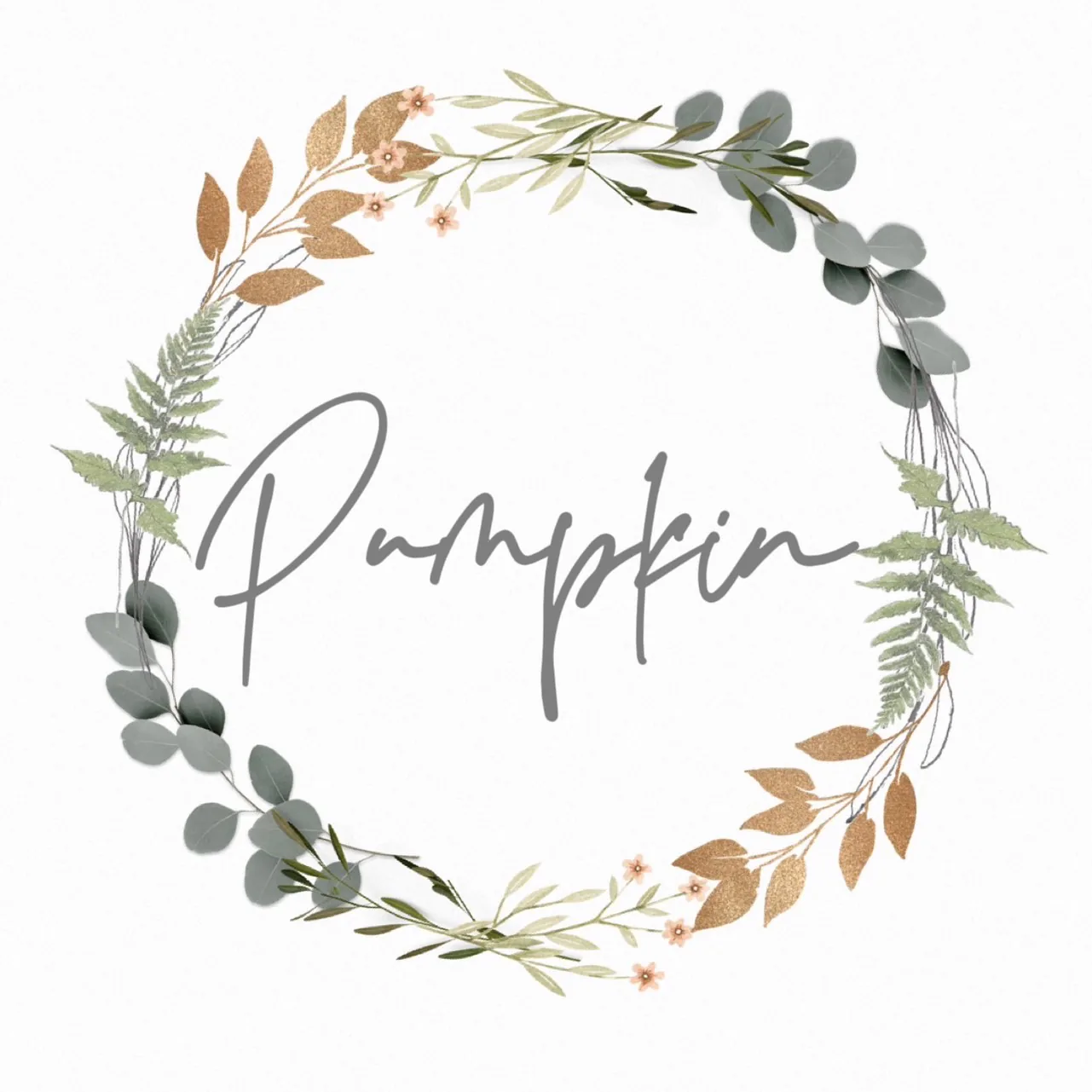 Pumpkin 南瓜馬車