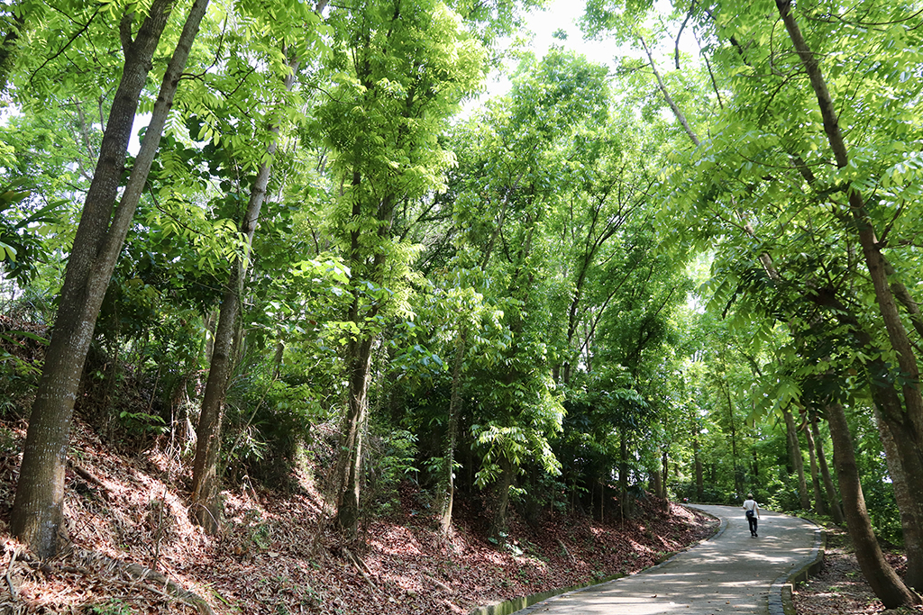 蘭潭後山步道