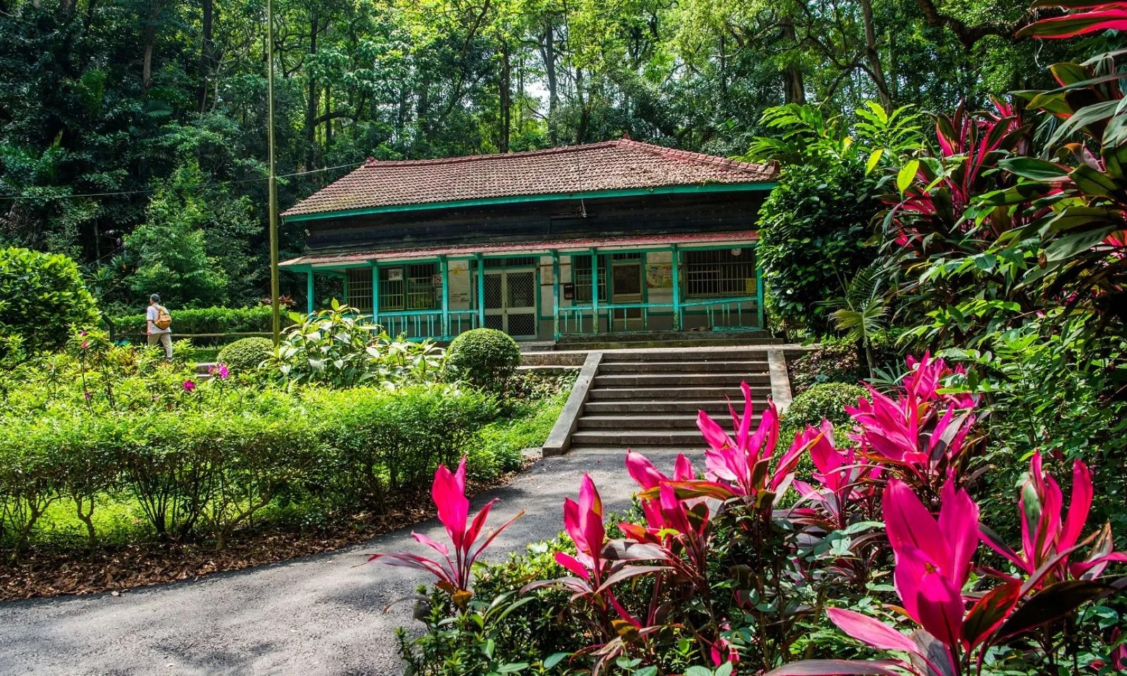 嘉義樹木園