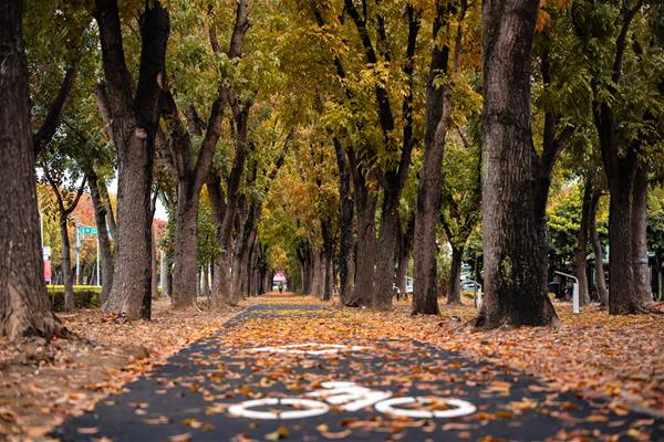 世賢路自行車道
