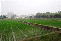 農產的研究園地