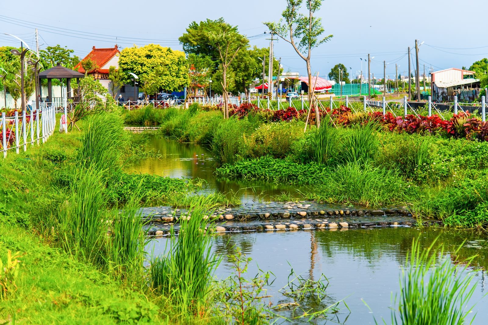 大渓厝水環境教育園-8