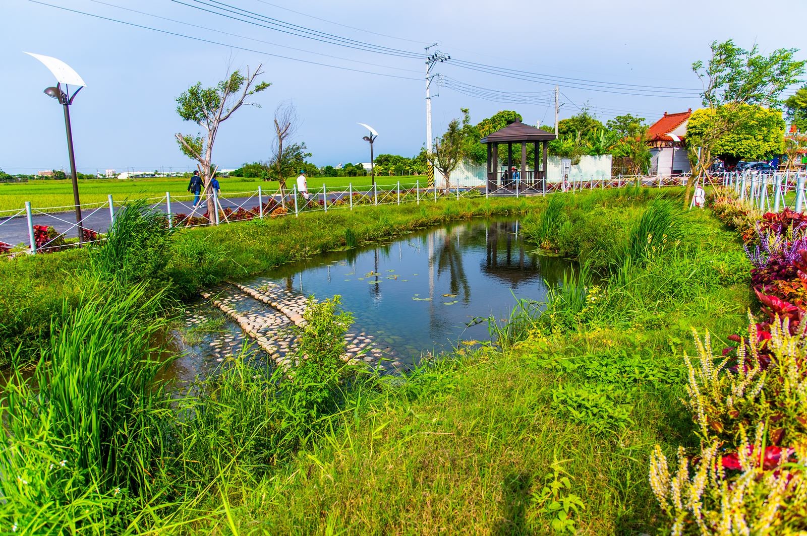 Dasicuo Water Environment Education Park-7